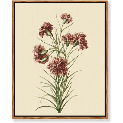 MHARTK66 Botanische Leinwandbilder mit Holzrahmen, 30x40 cm, Rosa Nelke