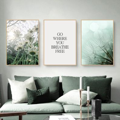 Martin Kench 3-teiliges Premium Poster Set Aesthetic See Wald Blume Bilder