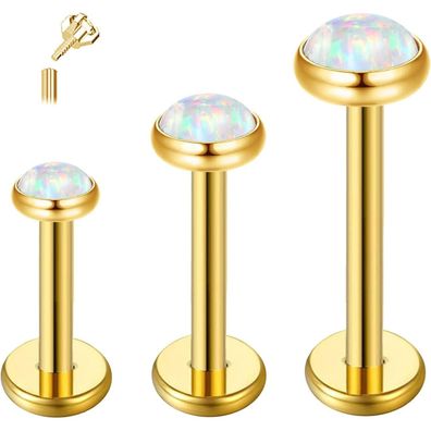 Eshioner G23 Titan Tragus Piercing Schmuck Ohr Helix Labret Lippe