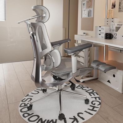 Hbada E3 Pro Ergonomischer Bürostuhl mit 3-Zonen Lendenwirbelstütze, 4D