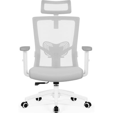 Daccormax Ergonomischer Bürostuhl mit Kopfstütze, Lendenwirbelstütze