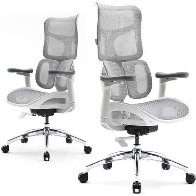 SIHOO S100 Ergonomischer Bürostuhl mit dualer dynamischer Lordosenstütze und