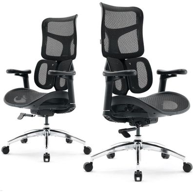 SIHOO S100 Ergonomischer Bürostuhl mit dualer dynamischer Lordosenstütze und