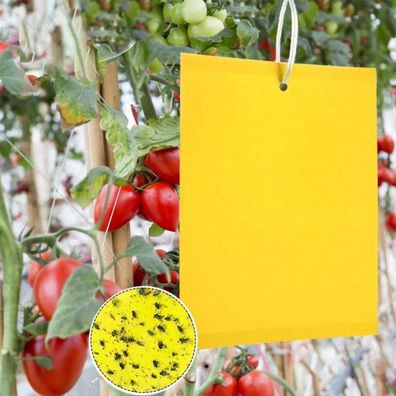 Panngu 50 Gelbtafeln gegen Schädlinge im Garten, 20x15cm