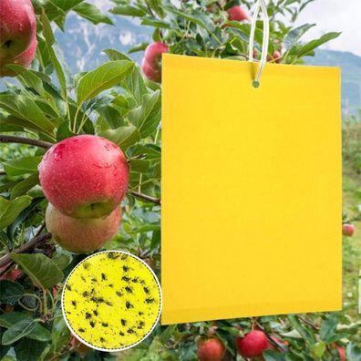 Panngu Gelbfalle 50 Stück - Klebrige Gelbtafeln gegen Fliegen, Blattläuse