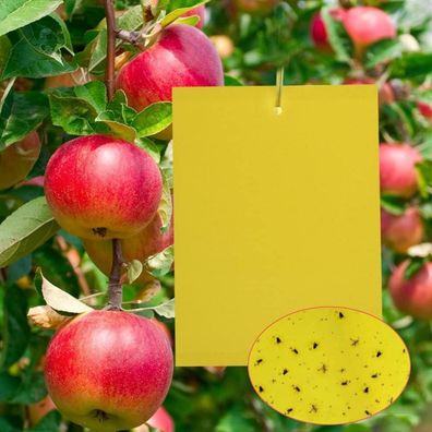 Panngu Gelbsticker Fliegenfalle 20 Stück, Gelbe Klebefallen für Pflanzen