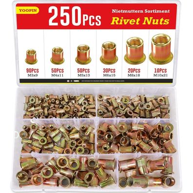 YOOPIN 250tlg Nietmuttern Set aus verzinktem Kohlenstoffstahl, M3-M10