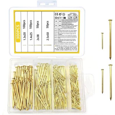 ZWFSDM 300 Stück Wandnägel Sortiment Set, Rundkopf Hölzerne Nägel für