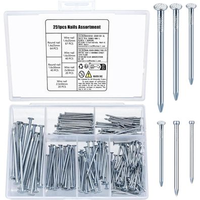 251tlg. Nagel-Sortiment Set für Wand, Bilder und Holzbearbeitung - Silber
