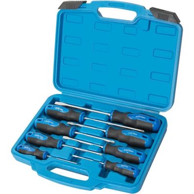 Rotation 8-teiliges magnetisches Schraubendreher-Set mit Nichromspitze