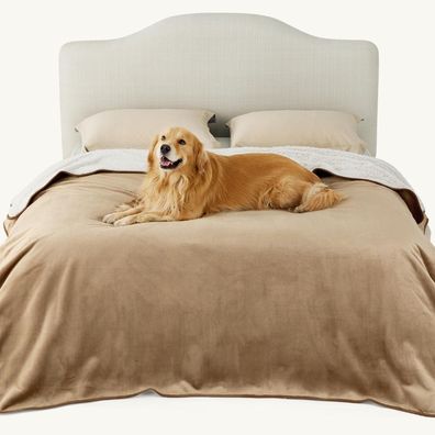Lesure wasserdichte Hundedecke XXL/XXXL (229x218cm) - Wendbar, waschbar, Sherpa
