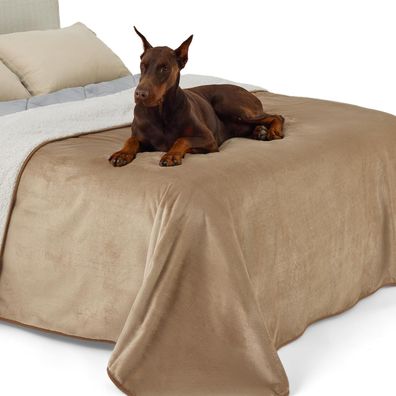 Lesure wasserdichte Hundedecke XXXXL (274x218cm) Kamel - Waschbar & Wendbar für