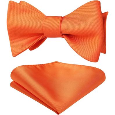 Hisdern Herren Fliege mit Einstecktuch im Set - Elegante Jacquard-Webart in