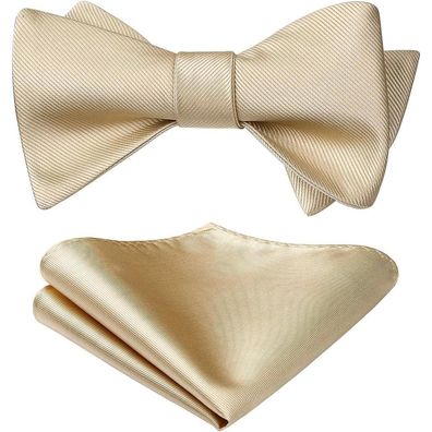 Hisdern Herren Fliege mit Einstecktuch Set - Einfarbig Beige, passend zu Hemd