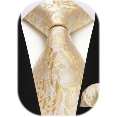 Hisdern Herren Krawatten-Set mit Einstecktuch - Paisley Design in verschiedenen