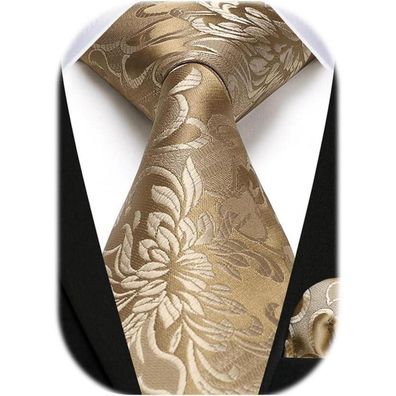 Hisdern Herren Krawatte mit Einstecktuch Set - Paisley Design, Formell, Golden
