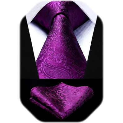 Hisdern Herren Krawatten Set mit Einstecktuch, Paisley Design, Einfarbig