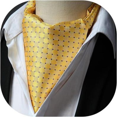 Hisdern Herren Krawattenschal Elegant Gepunktet für Hochzeit, Business und