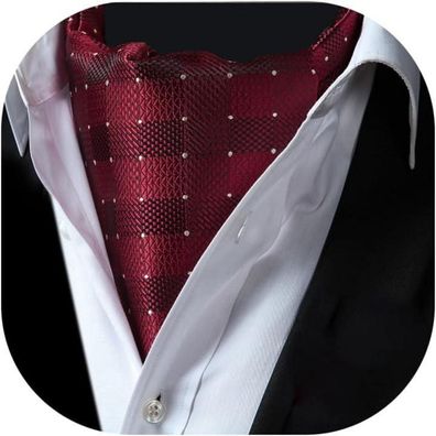 Hisdern Herren Krawattenschal Elegant Gepunktet Business Halstuch für Hochzeit