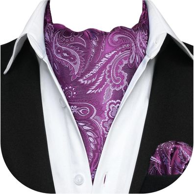 Hisdern Herren Krawattenschal Paisley Ascot Krawatte Halstuch und Einstecktuch