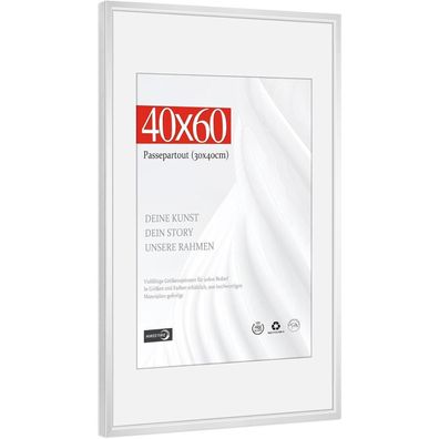 Himeetime Bilderrahmen 40x60 cm Aluminium Silber mit bruchsicherem Kunstglas