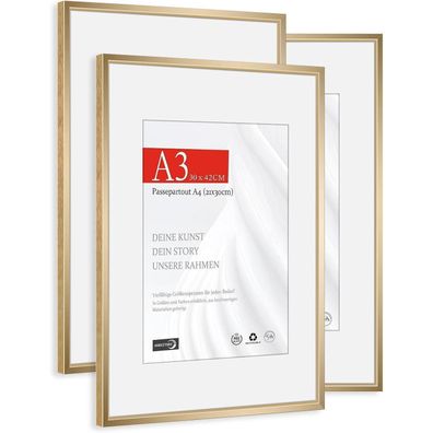 Himeetime 3x Bilderrahmen DIN A3 (29,7x42cm) Champagnergold Aluminium Gebürstet