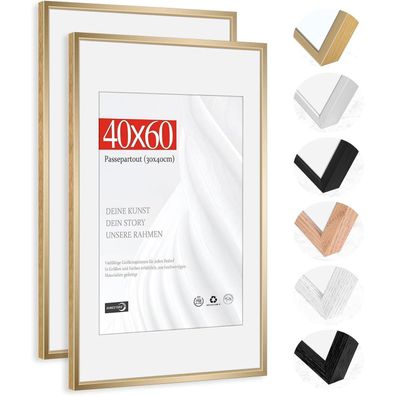 Himeetime 2x Bilderrahmen 40x60 cm Champagnergold Aluminium Gebürstet mit