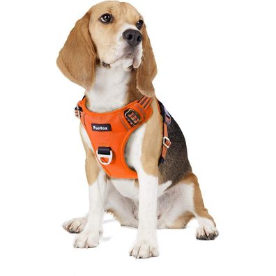 Funfox Anti-Zug Hundegeschirr M Orange - Verstellbar mit Griff