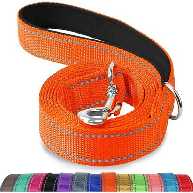 Joytale Hundeleine Nylon, 1,8m x 2cm, Orange - Doppelseitig Reflektierend