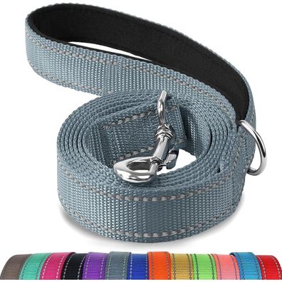 Joytale Hundeleine Grau, 1,8m x 2cm, Doppelseitig Reflektierend, Gepolsterter