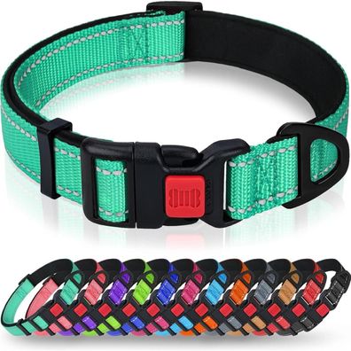 Taglory Hundehalsband Türkis XS (20-30cm) - Weich gepolstert, verstellbar