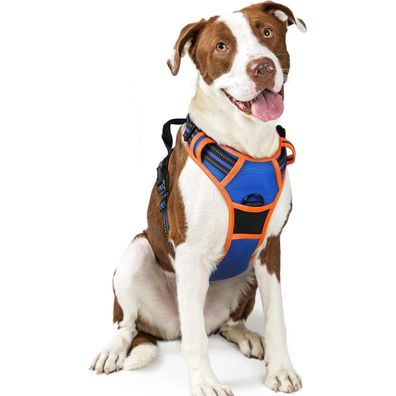 rabbitgoo Hundegeschirr L Blau+Orange, Anti-Zug, verstellbar, atmungsaktiv, mit