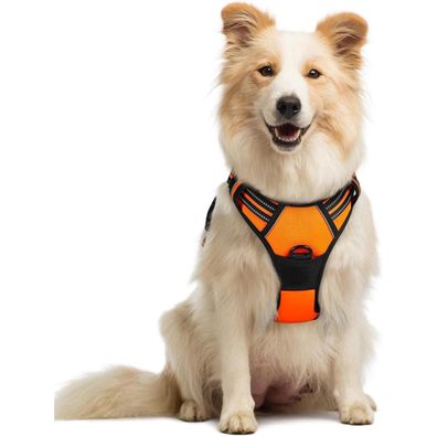 rabbitgoo Anti Zug Hundegeschirr für mittlere bis große Hunde, Orange, Größe M