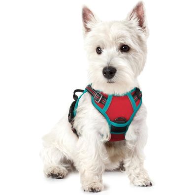 rabbitgoo Hundegeschirr XS Rot+Blaugrün, Anti-Zug Brustgeschirr mit Kontrolle