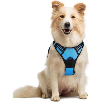 rabbitgoo Anti Zug Hundegeschirr M Hellblau, verstellbar, mit Kontrolle