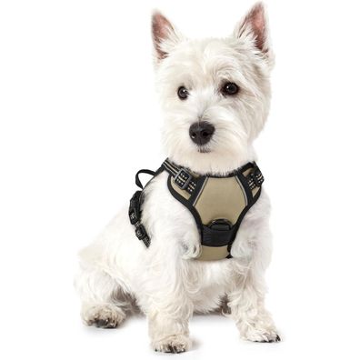 rabbitgoo Hundegeschirr XS - Anti Zug Brustgeschirr mit Kontrolle, Verstellbar
