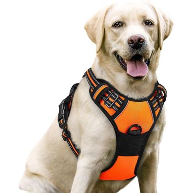 rabbitgoo Anti Zug Hundegeschirr L Orange - Sichere Führung & Komfort für Ihren