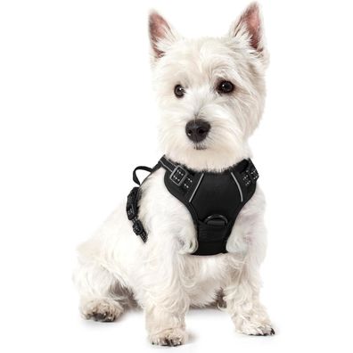 rabbitgoo Hundegeschirr XS, Anti-Zug Brustgeschirr mit Kontrolle, Verstellbar
