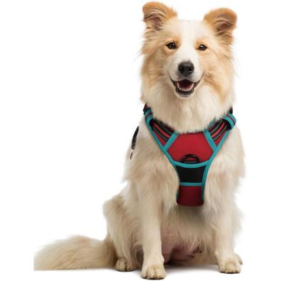 rabbitgoo Hundegeschirr M Rot+Blaugrün, Anti-Zug, verstellbar, atmungsaktiv