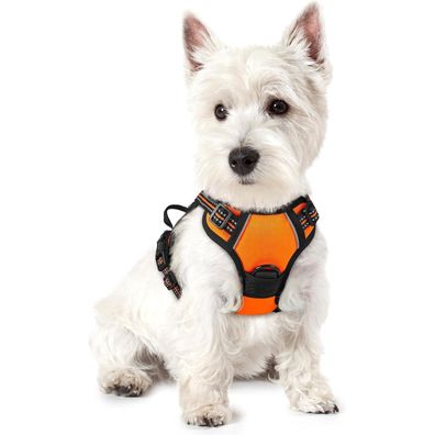 rabbitgoo Hundegeschirr XS Orange - Anti-Zug Brustgeschirr mit 2 Ösen und