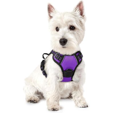 rabbitgoo Hundegeschirr XS - Anti Zug Brustgeschirr mit Kontrolle