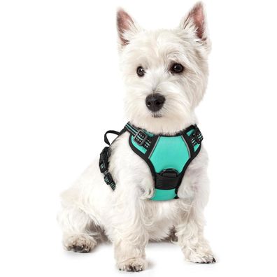 rabbitgoo Hundegeschirr XS Mint Grün, Anti-Zug Brustgeschirr mit Kontrolle