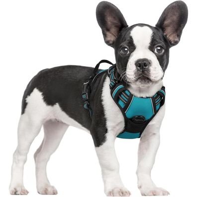 rabbitgoo Anti Zug Hundegeschirr S, No Pull Brustgeschirr mit Kontrolle