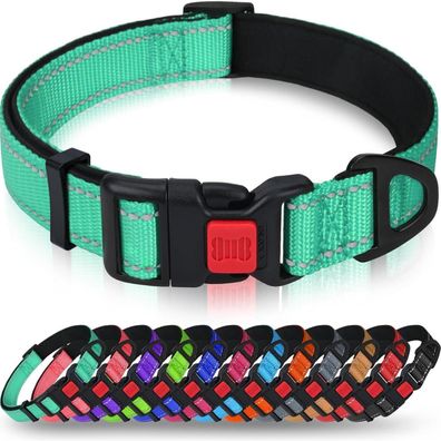 Taglory Hundehalsband Türkis L (40-60cm) - Gepolstert, Verstellbar