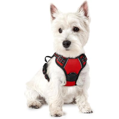 rabbitgoo Hundegeschirr Rot XS - Anti-Zug Brustgeschirr für kleine Hunde