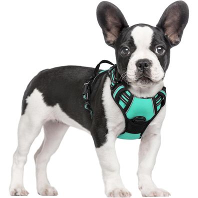 rabbitgoo Anti Zug Hundegeschirr S Mint Grün, verstellbar, atmungsaktiv, mit