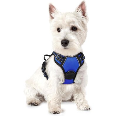 rabbitgoo Hundegeschirr Blau XS - Anti-Zug Brustgeschirr mit 2 Ösen und