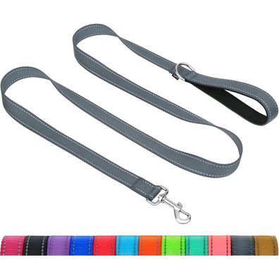 Taglory Hundeleine Grau, 1.2m x 2cm, Gepolsterter Griff, Reflektierend, bis 10