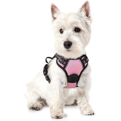 rabbitgoo Hundegeschirr XS Rosa - Anti Zug Brustgeschirr mit Kontrolle