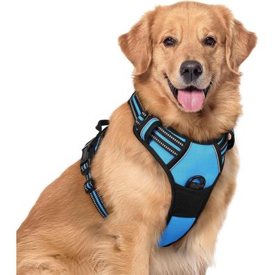 rabbitgoo Hundegeschirr XL (Hellblau) - Anti Zug No Pull Brustgeschirr